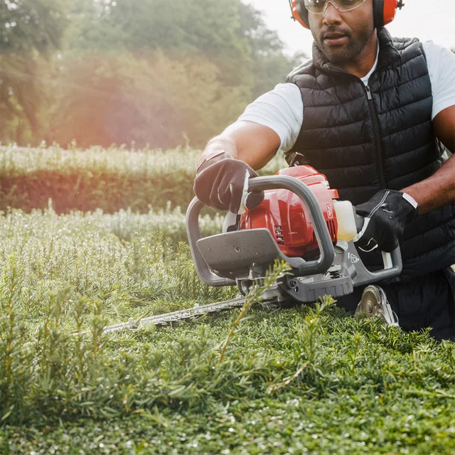 Tagliasiepe HHH 25D 75E