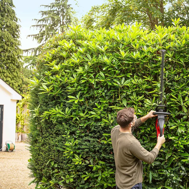 Tagliasiepi a batteria + Batteria 4Ah & Caricabatterie Standard