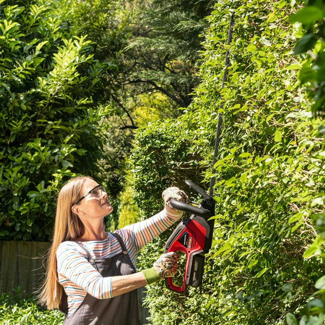 Tagliasiepe a batteria HHH 36 BXB E65T